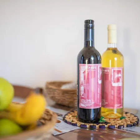 艾奥斯费斯石头度假屋 * 班诺卢弗卡拉